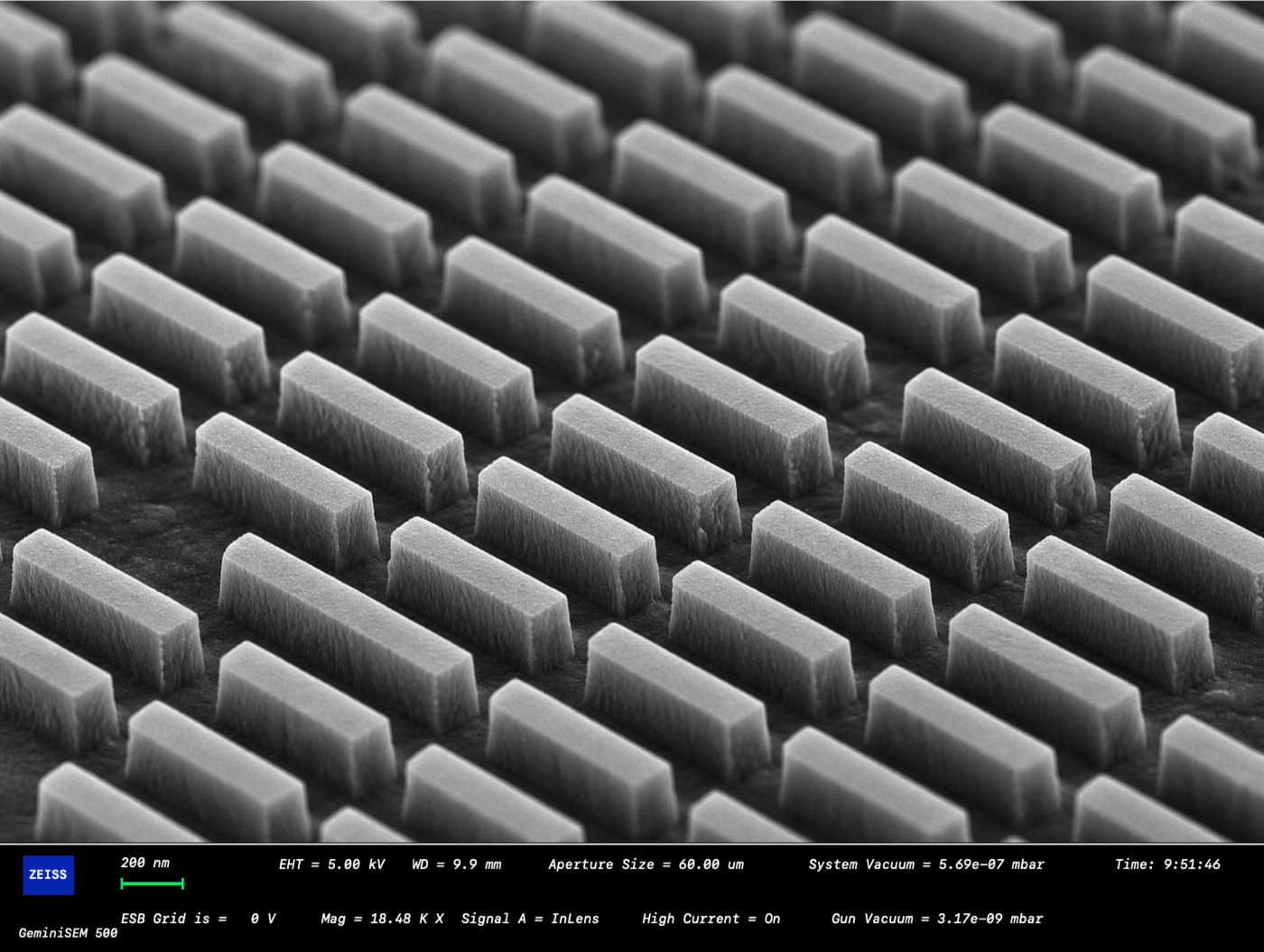 SEM image of nanoscale grating array
