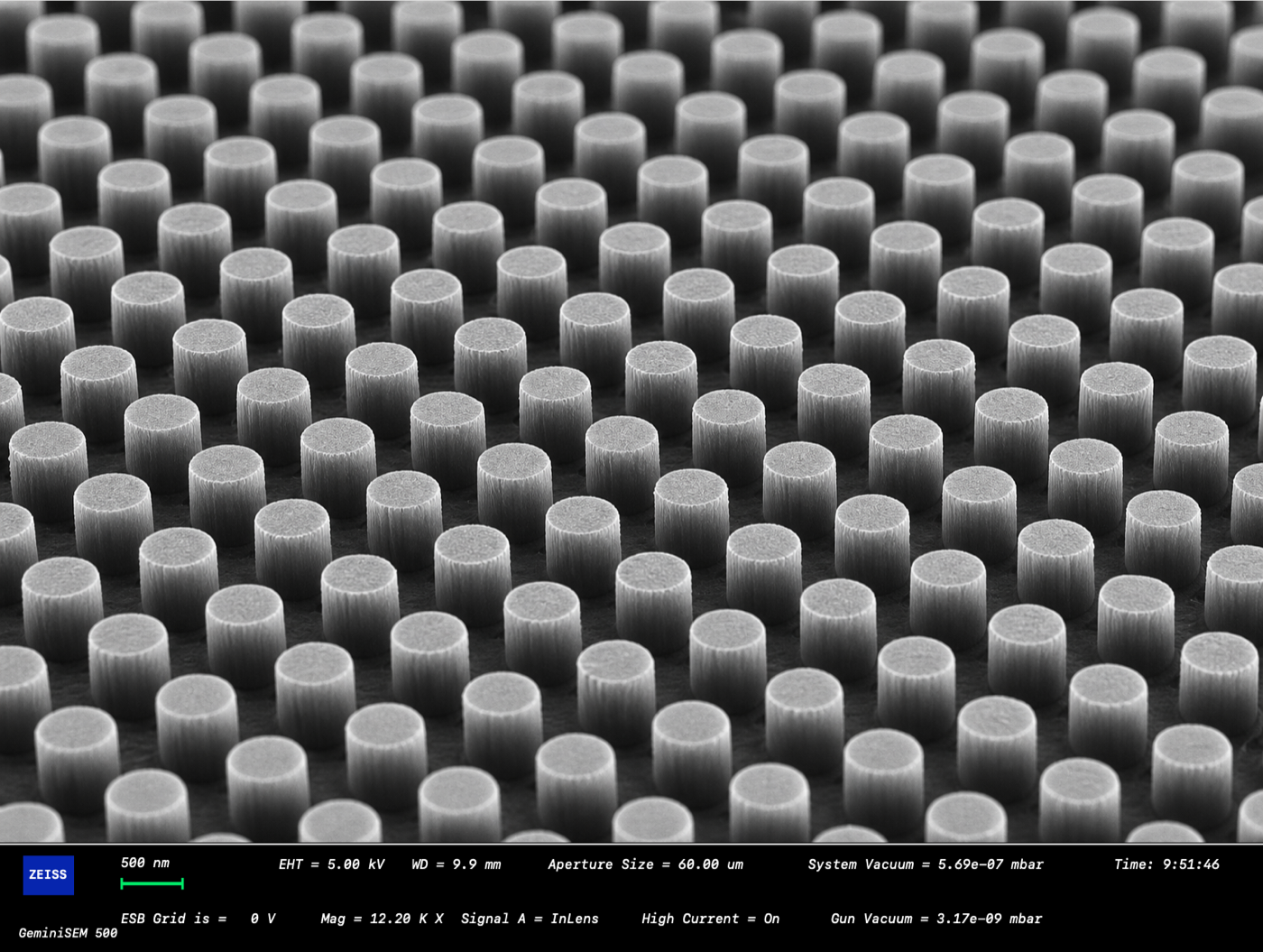 SEM image of nano pillar array